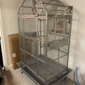 PARROT CAGE for sale usa