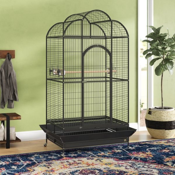 PARROT CAGE for sale usa