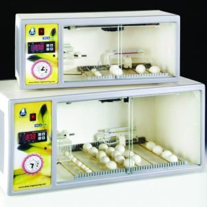 PARROT EGGS INCUBATOR FOR SALE USA