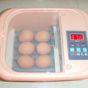 PARROT EGGS INCUBATOR FOR SALE USA